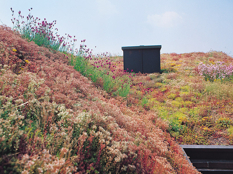 BAUDER Dachy zielone